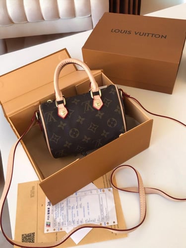 LV bag