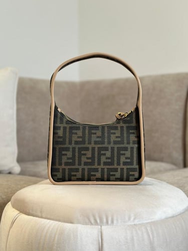 Fendi bag