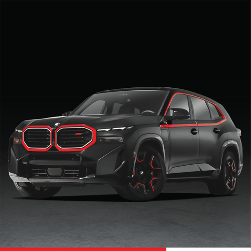 الباقة الفضية