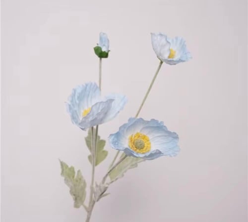 ( خدمة ) ضـيـافة