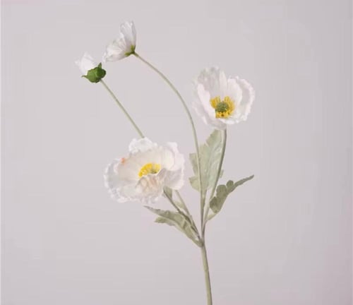 ضيافة كونسول