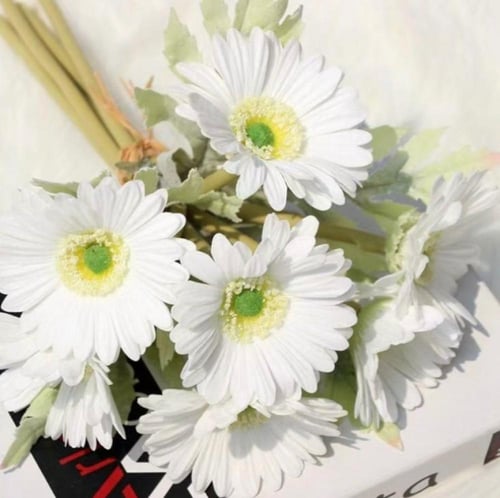 ستاند سنتر ضيافة