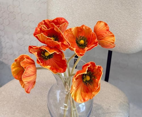 ستاند سنتر ضيافة