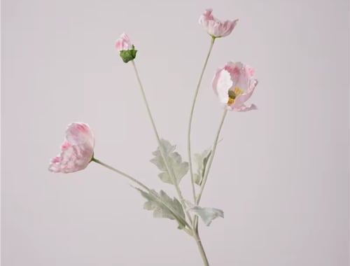 سنتر ضيافة دائري