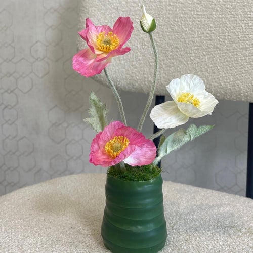 ( خدمة ) ضـيـافة