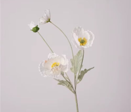 سنتر ضيافة دائري