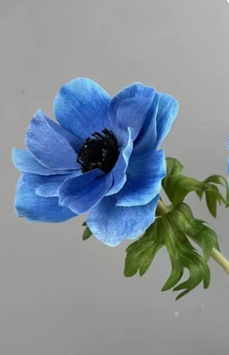 ( خدمة ) ضـيـافة