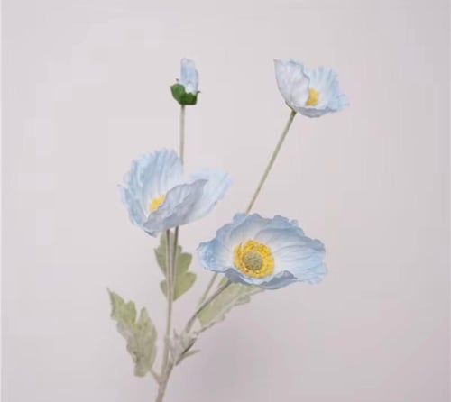 سنتر ضيافة دائري