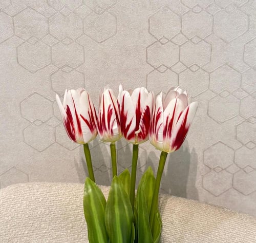 سنتر ضيافة دائري