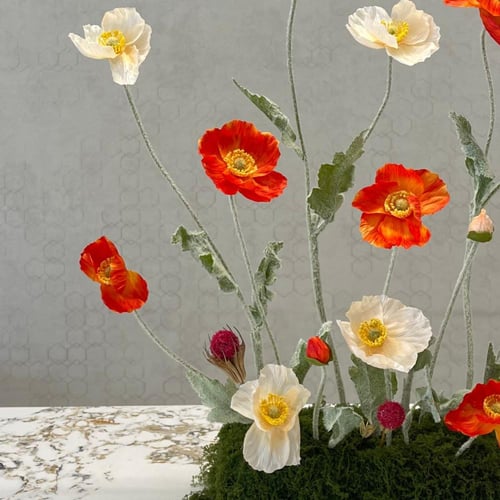 ضيافة كونسول