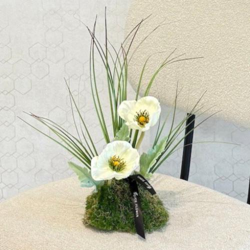 ( خدمة ) ضـيـافة