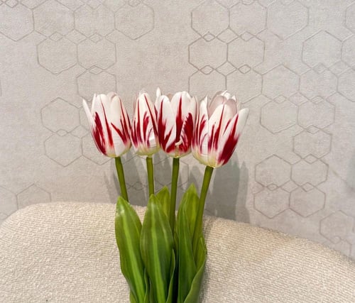 سنتر ضيافة دائري