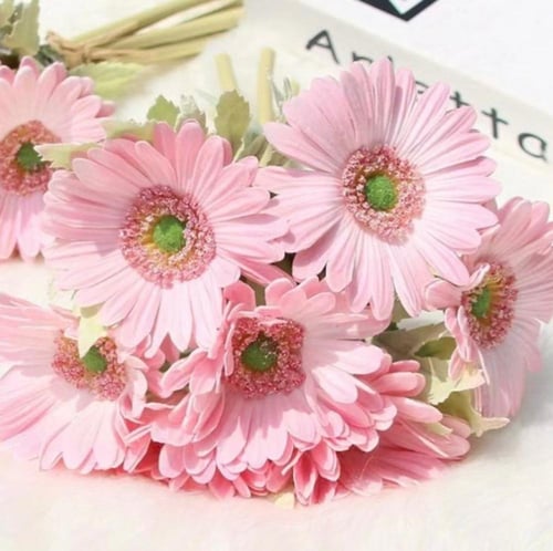 ستاند سنتر ضيافة