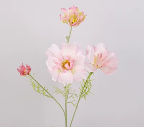 ضيافة ( خدمة )