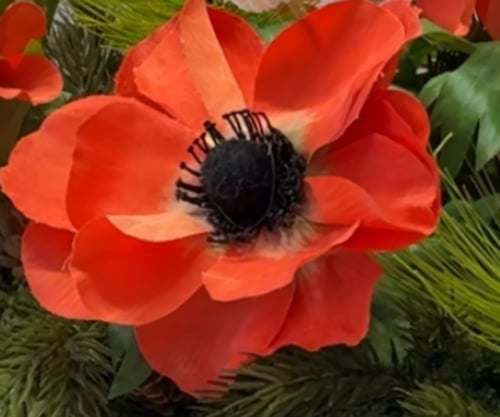 ( خدمة ) ضـيـافة