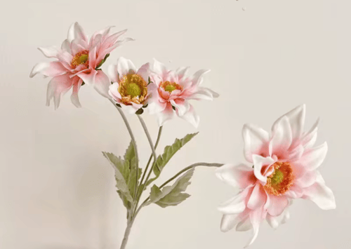 ( خدمة ) ضيافة