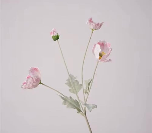 سنتر ضيافة دائري