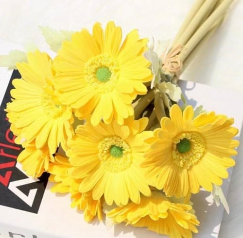 ستاند سنتر ضيافة