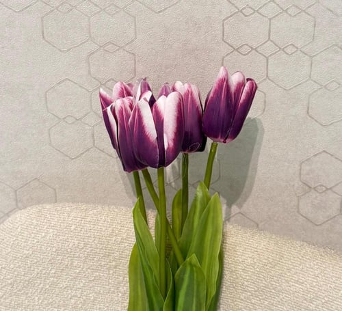 سنتر ضيافة دائري