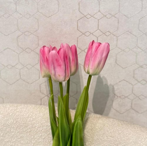 سنتر ضيافة دائري