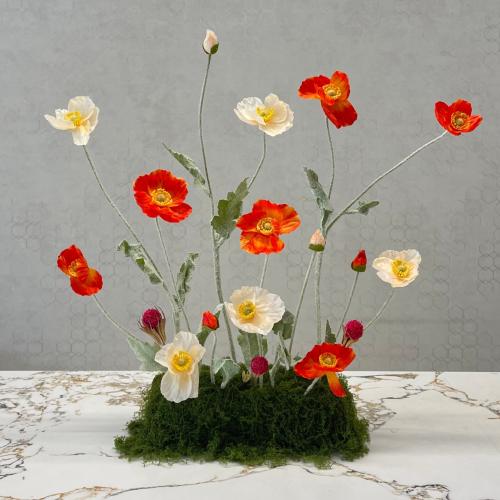 ضيافة كونسول