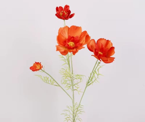 ضيافة ( خدمة )