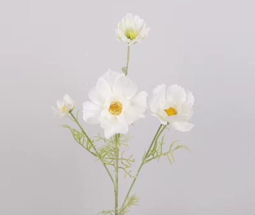 ضيافة ( خدمة )