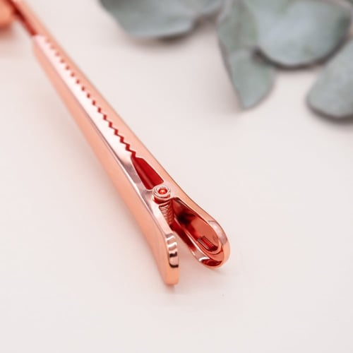 ملعقة ومشبك للقهوة - روزقولد
