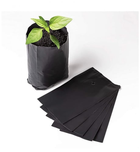 35 كيس تشتيل صغيرة 10 في 20 سم