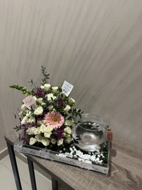 بوكس ورد و سمك