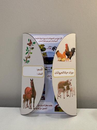 مطوية دورات حياة الحيوانات الصف الثالث الفصل الدرا...