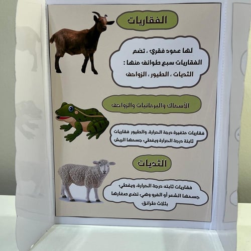 مطوية الحيوانات الفقارية الصف الرابع الفصل الأول