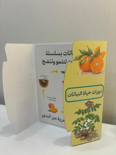 مطوية دورات حياة النباتات الصف الثالث الفصل الدراس...