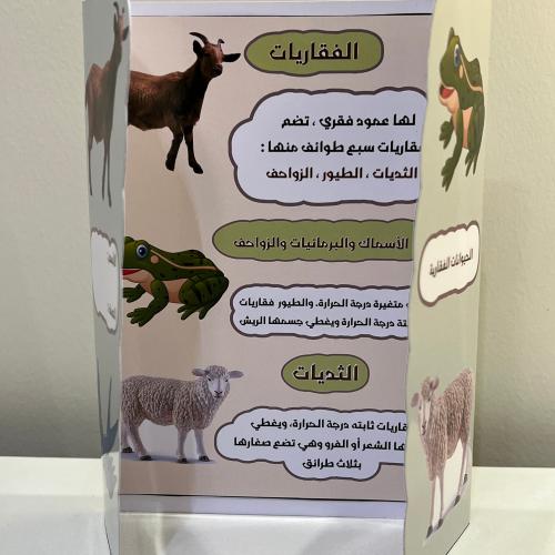 مطوية الحيوانات الفقارية الصف الرابع الفصل الأول