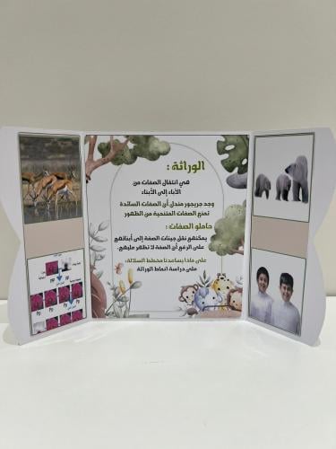 مطوية الوراثة والصفات الصف السادس الفصل الأول