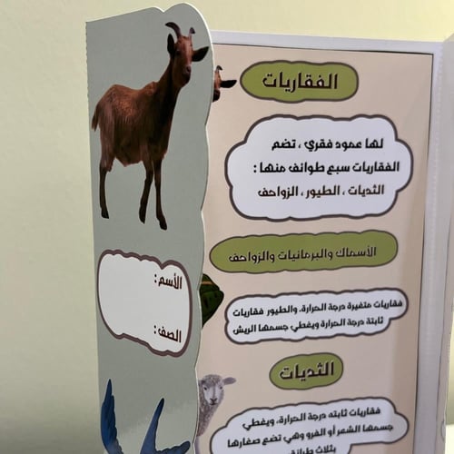 مطوية الحيوانات الفقارية الصف الرابع الفصل الأول