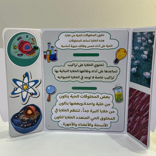 مطوية الخلايا الصف الرابع الفصل الدراسي الأول