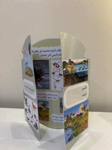 مطوية السلاسل والشبكات الغذائية الصف الثالث الفصل...