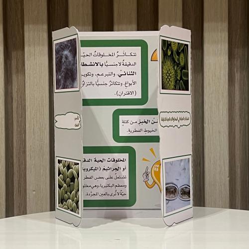 مطوية عمليات الحياة في المخلوقات الحية الدقيقة الص...