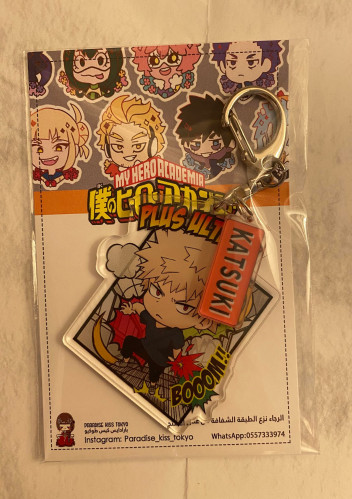 Boku no Hero Academia keychain (7)