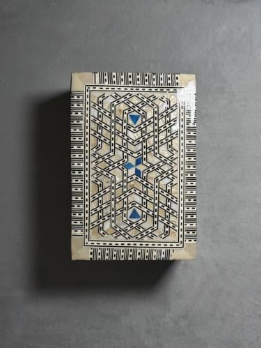 علبة صدف طبيعي ( أبلج - وسط )