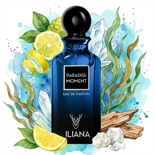 مجموعة ايليانا حكاية حب