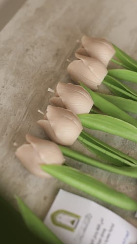 توزبعات التوليب مع طباعة ثيم خاص