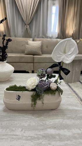 فازة بيضاوي 1