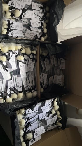 توزيعات بيبي روز مع بطاقة 10 قطع