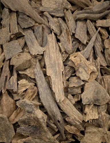 Philippine oud, rare