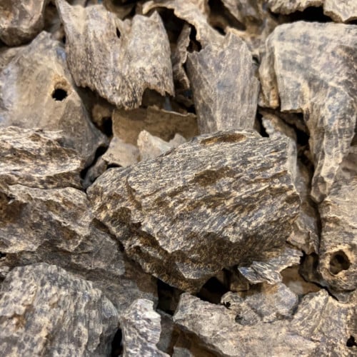 تولة جار فيتنامي دبل