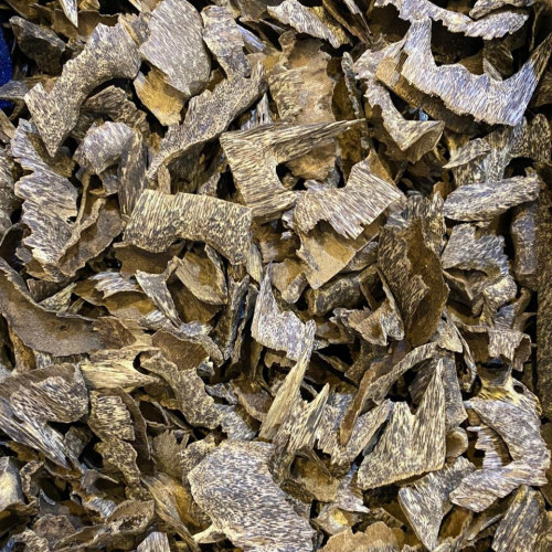 تراد زوايا فاخر