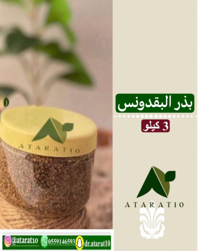 3 kilograms of parsley seed _ parsley seeds
