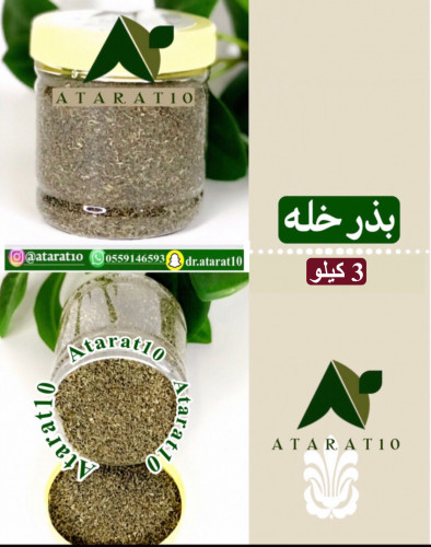 3 kilograms of mesquite seed _ mesquite seeds